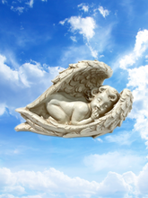 Load image into Gallery viewer, Sleeping Angel
